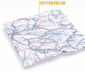 3d view of Seyyed Şāleḩ