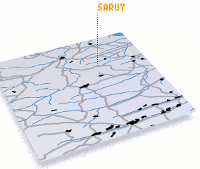 3d view of Saruy