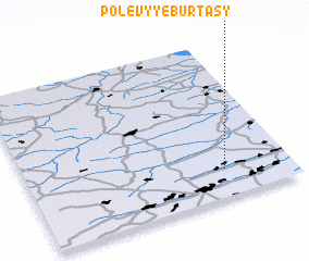 3d view of Polevyye Burtasy