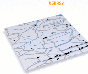 3d view of Uskasy