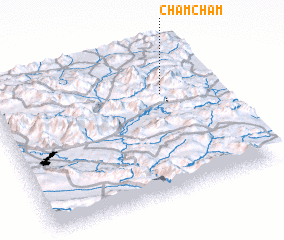 3d view of Cham Cham