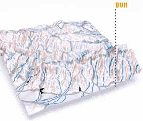 3d view of Bum