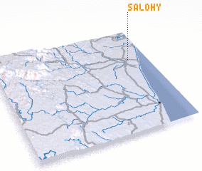 3d view of Salohy