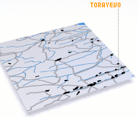 3d view of Torayevo