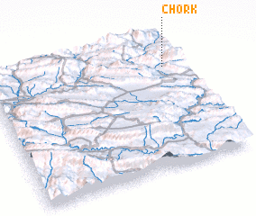 3d view of Chork