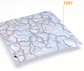 3d view of Toby