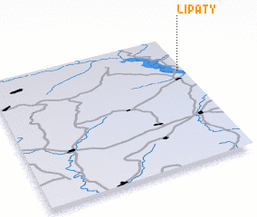 3d view of Lipaty