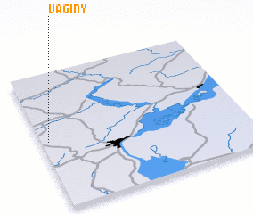 3d view of Vaginy