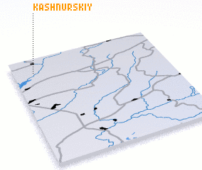 3d view of Kashnurskiy