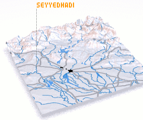 3d view of Seyyed Hādī