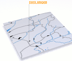 3d view of Suslonger