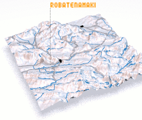 3d view of Robāţ-e Namakī