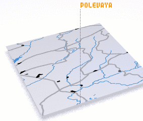 3d view of Polevaya
