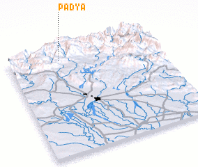 3d view of Padyā