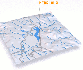 3d view of Menaloha