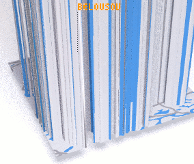 3d view of Belousov