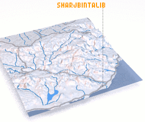 3d view of Sharj Bin Ţālib