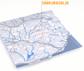 3d view of Sharj Bā Şāliḩ