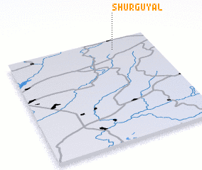 3d view of Shurguyal