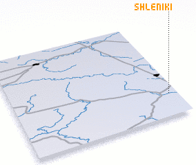 3d view of Shleniki