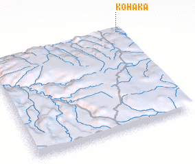 3d view of Kohaka