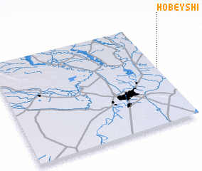 3d view of Ḩobeyshī