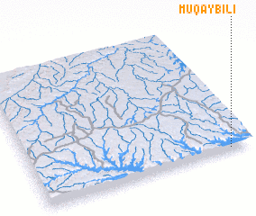 3d view of Muqaybilī