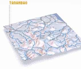 3d view of Tanambao