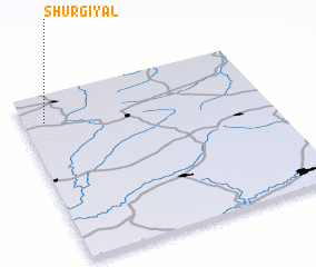 3d view of Shurgiyal