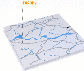 3d view of Topory