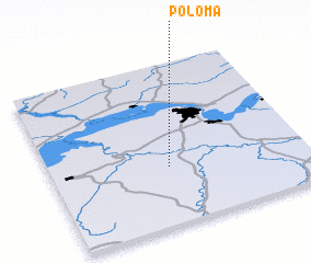 3d view of Poloma
