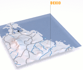 3d view of Bekio