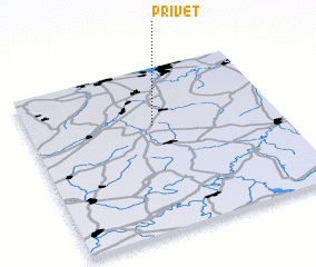 3d view of Privet