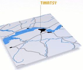 3d view of Timintsy