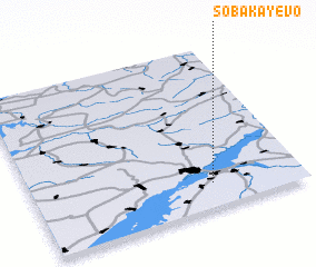 3d view of Sobakayevo