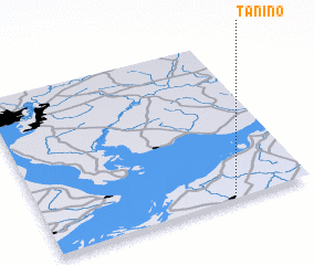 3d view of Tanino