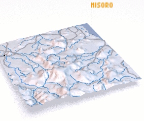 3d view of Misoro