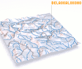 3d view of Belaoka Lokoho