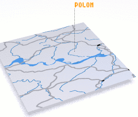 3d view of Polom