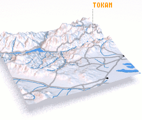 3d view of Tokām