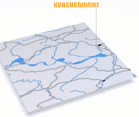 3d view of Kvasheninniki