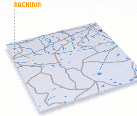 3d view of Bachinin