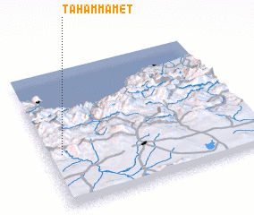 3d view of Tahammamet