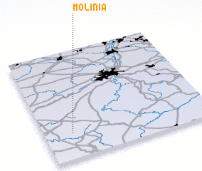 3d view of Molinia