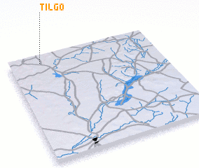 3d view of Tilgo