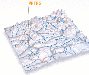 3d view of Patas