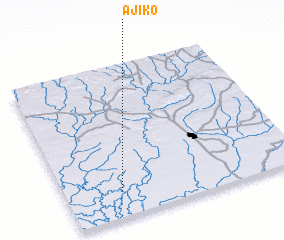 3d view of Ajiko