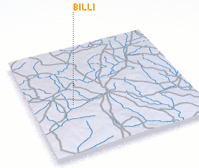 3d view of Billi