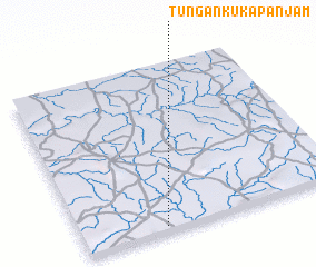 3d view of Tungan Kuka Panjam