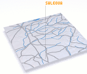 3d view of Saléoua